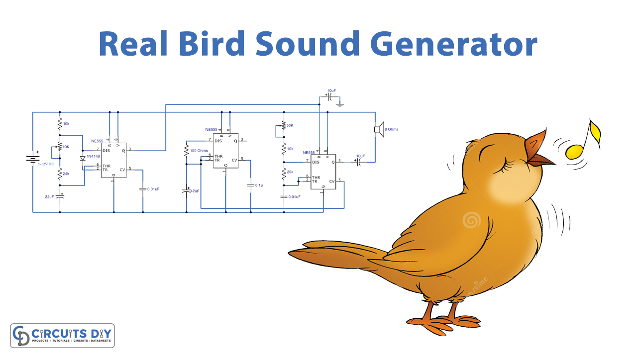 Real Bird Sound Generator