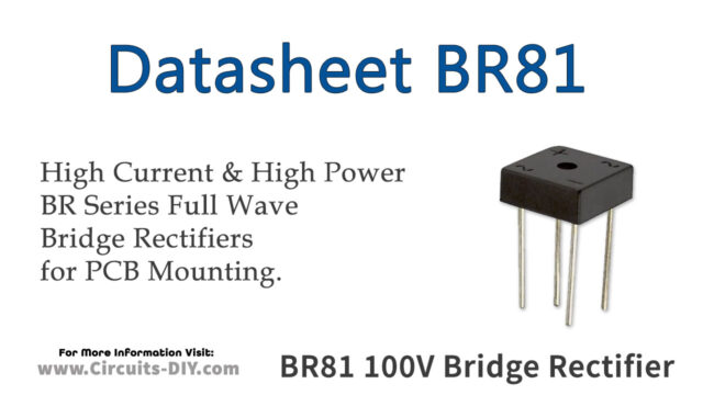 BR81 Datasheet - 1