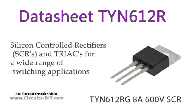 TYN612RG Datasheet