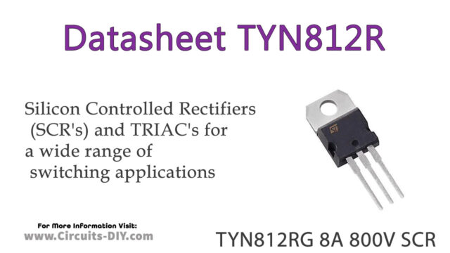 TYN812RG Datasheet