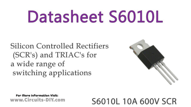 S6010L Datasheet
