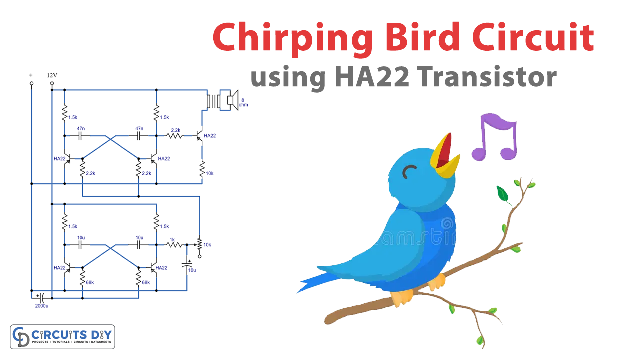 Chirping Bird Sound